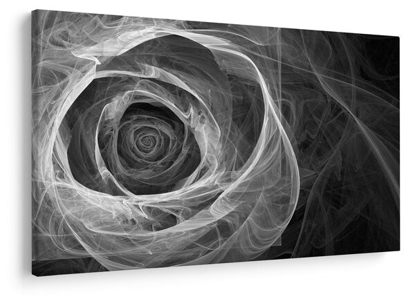 Obraz - Abstraktné ruže čiernobiela (90x60 cm)