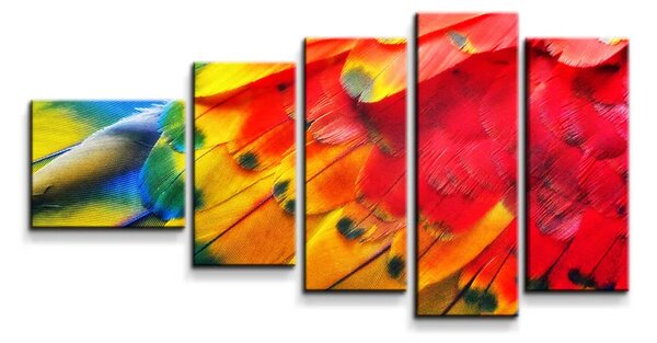 Sablio Obraz - 5-dílný Farebné perie 2 - 100x60 cm