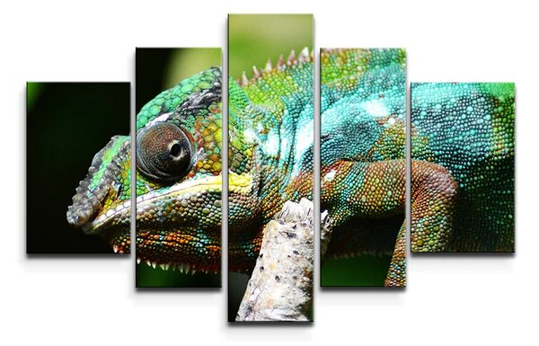 Sablio Obraz - 5-dílný Chameleón - 125x90 cm