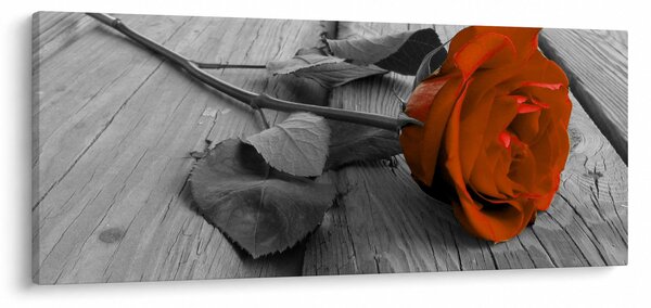 Obraz - Oranžová ruža (120x50 cm)