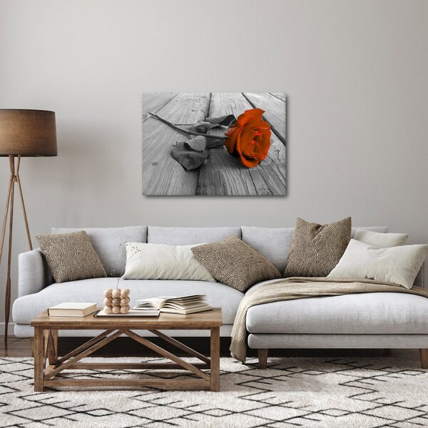 Obraz - Oranžová ruža (70x50 cm)