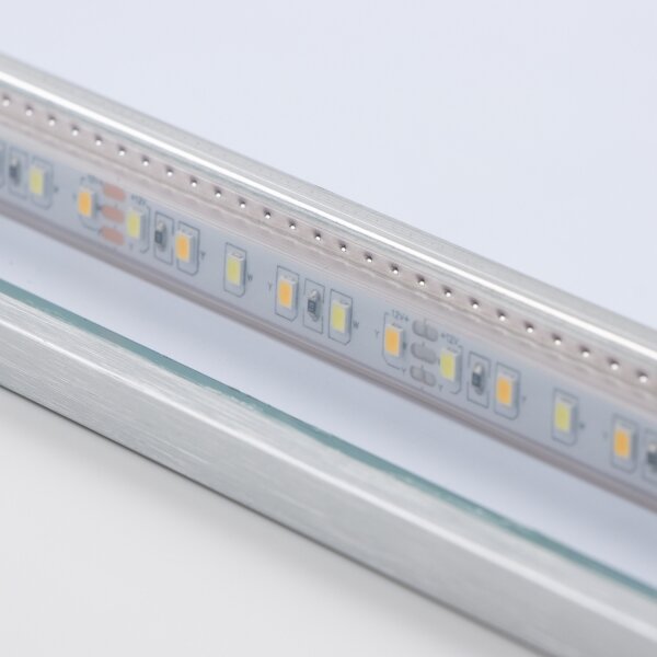 Brilagi - kúpeľňové LED zrkadlo DESIO LED/20W/230V 40x60 cm IP44 CRI 90 stmievateľné + CCT