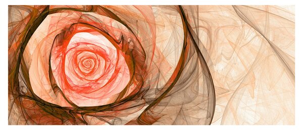 Obraz - Abstraktné ruže ružová s bielym pozadím (120x50 cm)