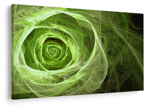 Obraz - Abstraktné ruže zelená (90x60 cm)
