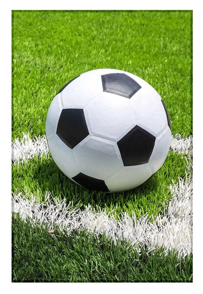 Jerry Fabrics Fleecová deka s motívom Futbal - 100 x 150 cm