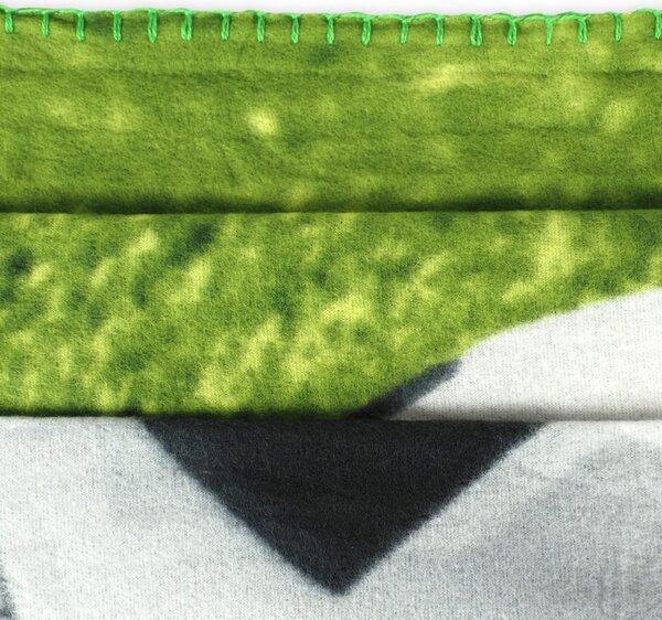 Jerry Fabrics Fleecová deka s motívom Futbal - 100 x 150 cm