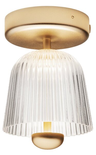 Stropné Lampa Nuura Aps, Asteea, stmievateľné, Zlatá / Mosadz, Obývacia izba, Kov, Škandinávsky