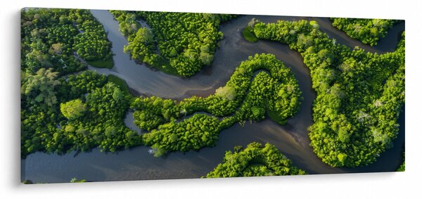Obraz - Lesná krajina s riekou (120x50 cm)