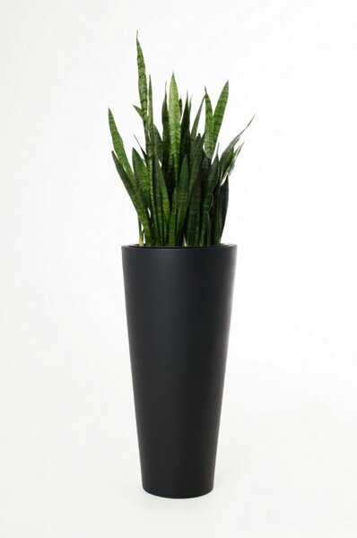 Kvetináč RONDO CLASSICO, sklolaminát, výška 80 cm, antracit