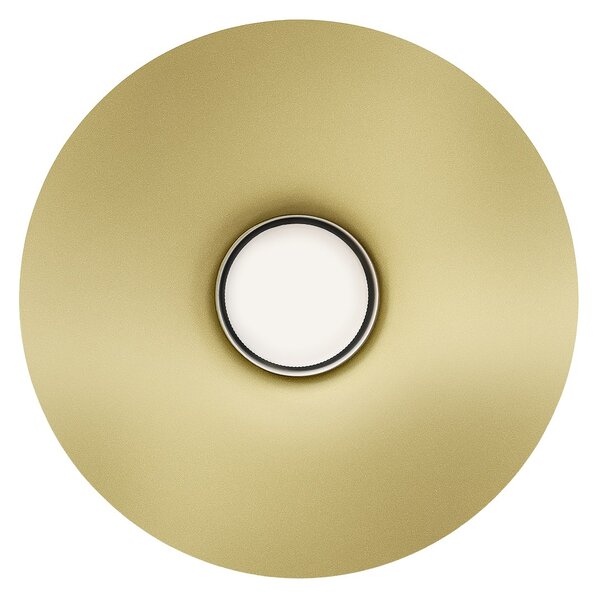 Nástenné svietidlo Capital, 1x zlaté kovové tienidlo, (fi 21cm), g