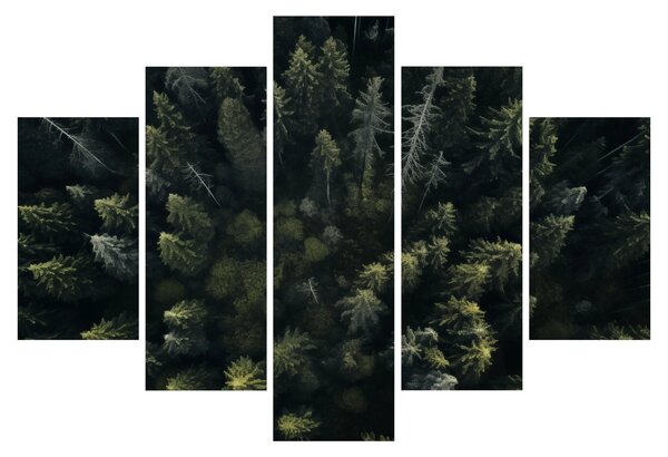 Obraz - Les (150x105 cm)