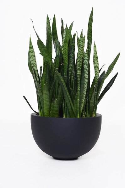Misa na rastliny ALICE, sklolaminát, Ø 45 cm, antracit