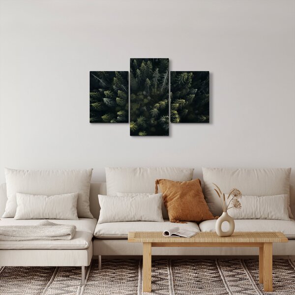 Obraz - Les (90x60 cm)