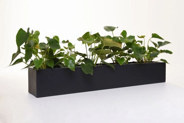 Hrantík FLOBO, sklolaminát, šírka 100 cm, antracit