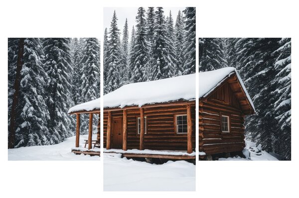 Obraz - Zasnežená chata (90x60 cm)