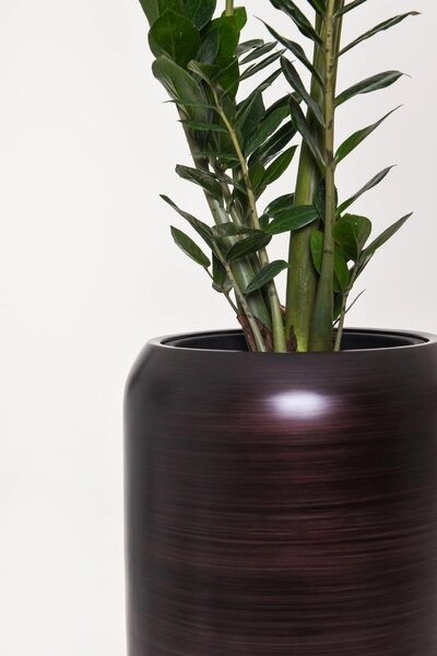 Luxusný kvetináč CAVITA, sklolaminát, výška 97 cm, čierno-hnedý hodvábny mat