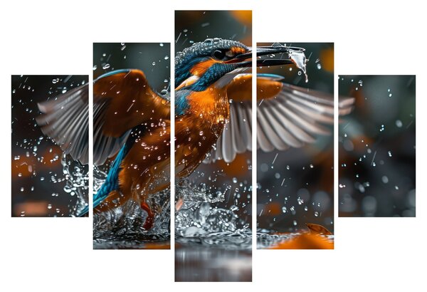 Obraz - Včelojedi (150x105 cm)