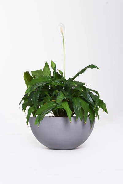 Misa na kvety CUENCO, sklolaminát, výška 18 cm, sivá