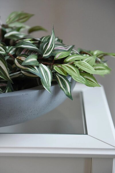 Okrasná miska PLANA, sklolaminát, Ø 44 cm x výška 11 cm, betón design
