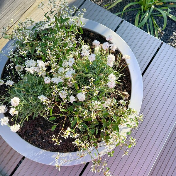Okrasná miska PLANA, sklolaminát, Ø 44 cm x výška 11 cm, betón design