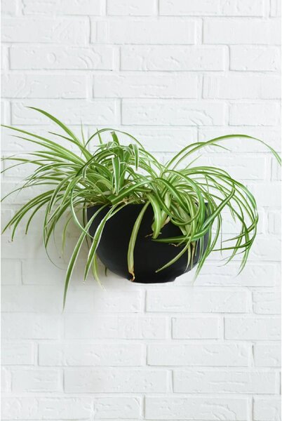 Kvetináč na stenu MEDIO, sklolaminát, šírka 29 cm, čierna