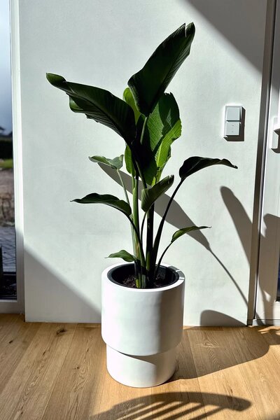 Kvetináč ESCADA, sklolaminát, výška 40 cm, biely mat