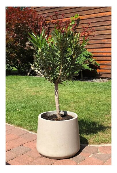 Kvetináč TROPICO, sklolaminát, výška 29 cm, béžová