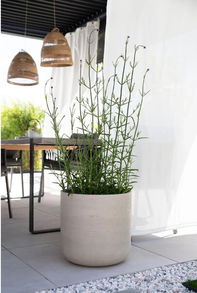 Kvetináč CHICO, sklolaminát, výška 42 cm, béžová