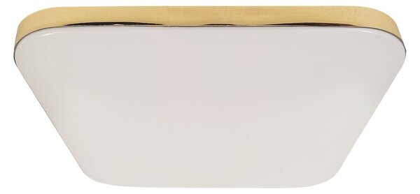 Stropné LED svietidlo Nemo, 1x LED 17w, 4000k, g