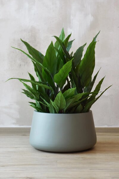 Kvetináč GORDO, sklolaminát, výška 29 cm, sivý