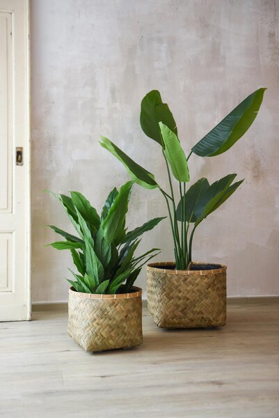 Prírodný obal na kvety CISTELLA, bambus, výška 29 cm, natur
