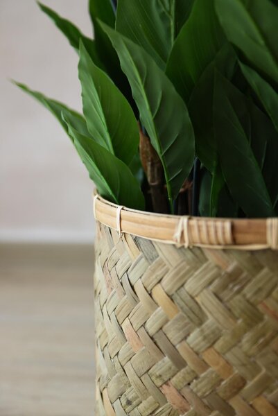 Prírodný obal na kvety CISTELLA, bambus, výška 29 cm, natur