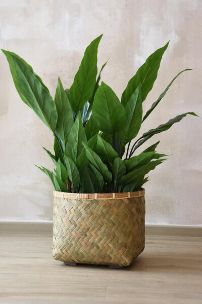 Prírodný obal na kvety CISTELLA, bambus, výška 29 cm, natur