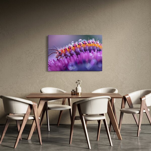 Obraz - Húsenica (90x60 cm)