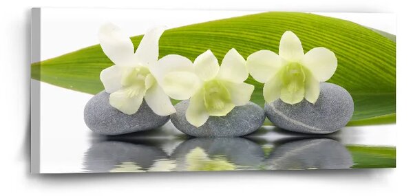 Sablio Obraz Biela orchidea - 110x50 cm