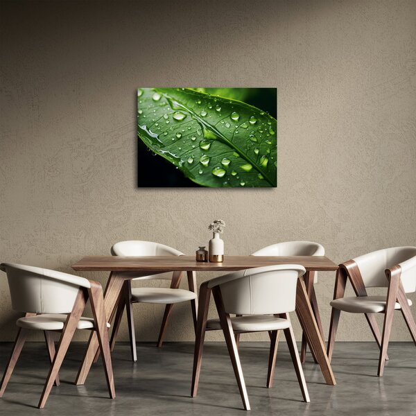 Obraz - List po daždi (70x50 cm)