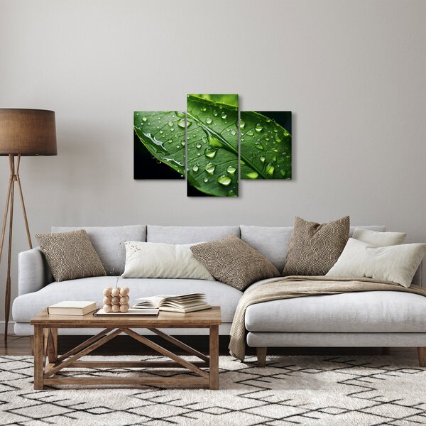 Obraz - List po daždi (90x60 cm)