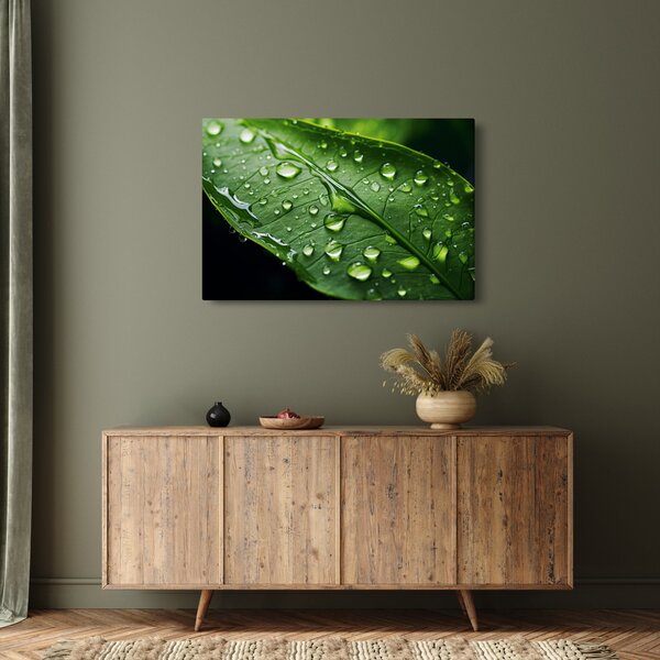 Obraz - List po daždi (90x60 cm)