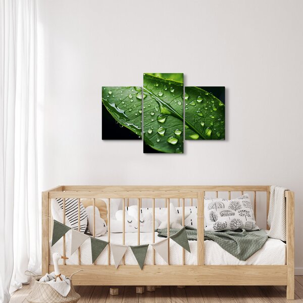 Obraz - List po daždi (90x60 cm)