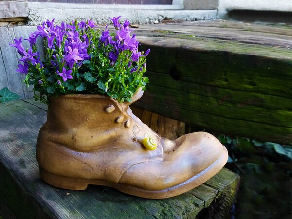 Topánka - kvetináč