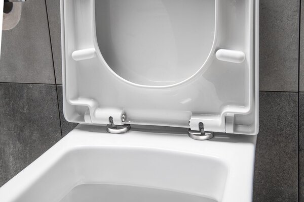 Aqualine Aqualine, DONA WC sedátko, Soft Close, biela, FD121