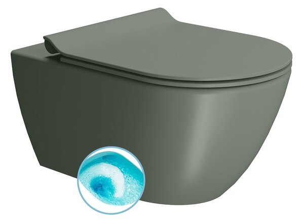 GSI GSI, PURA závesná WC misa, Swirlflush, 36x55cm, agave dual-mat, 881504