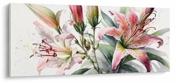 Obraz - Ľalia, ilustrácie (120x50 cm)