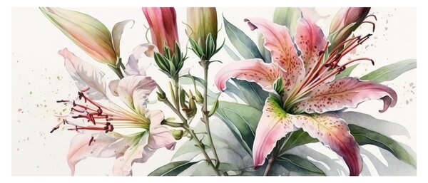 Obraz - Ľalia, ilustrácie (120x50 cm)