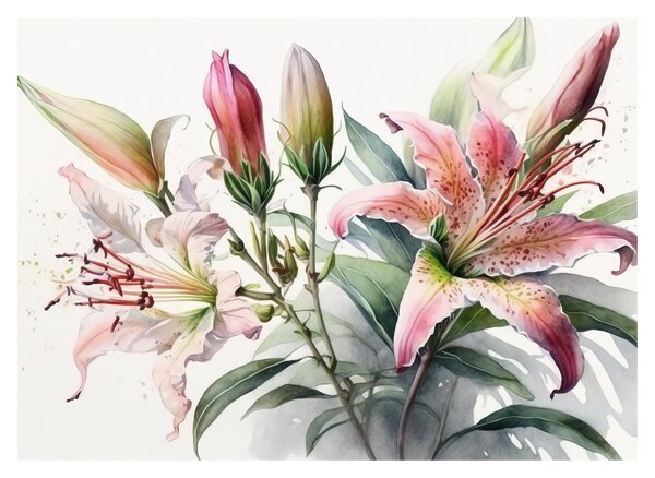 Obraz - Ľalia, ilustrácie (70x50 cm)