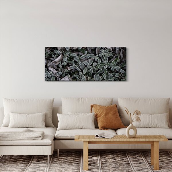 Obraz - Zamrznuté rastliny (120x50 cm)