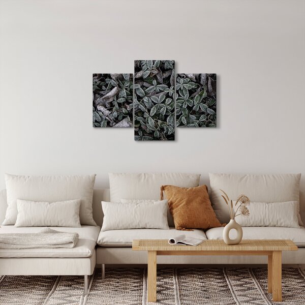Obraz - Zamrznuté rastliny (90x60 cm)