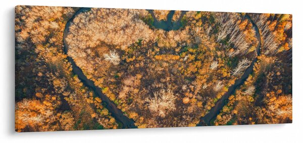 Obraz - Rieka v tvare srdca (120x50 cm)