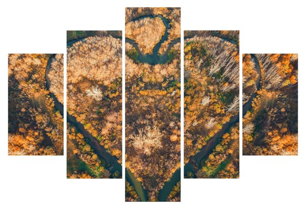 Obraz - Rieka v tvare srdca (150x105 cm)