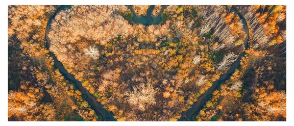 Obraz - Rieka v tvare srdca (120x50 cm)